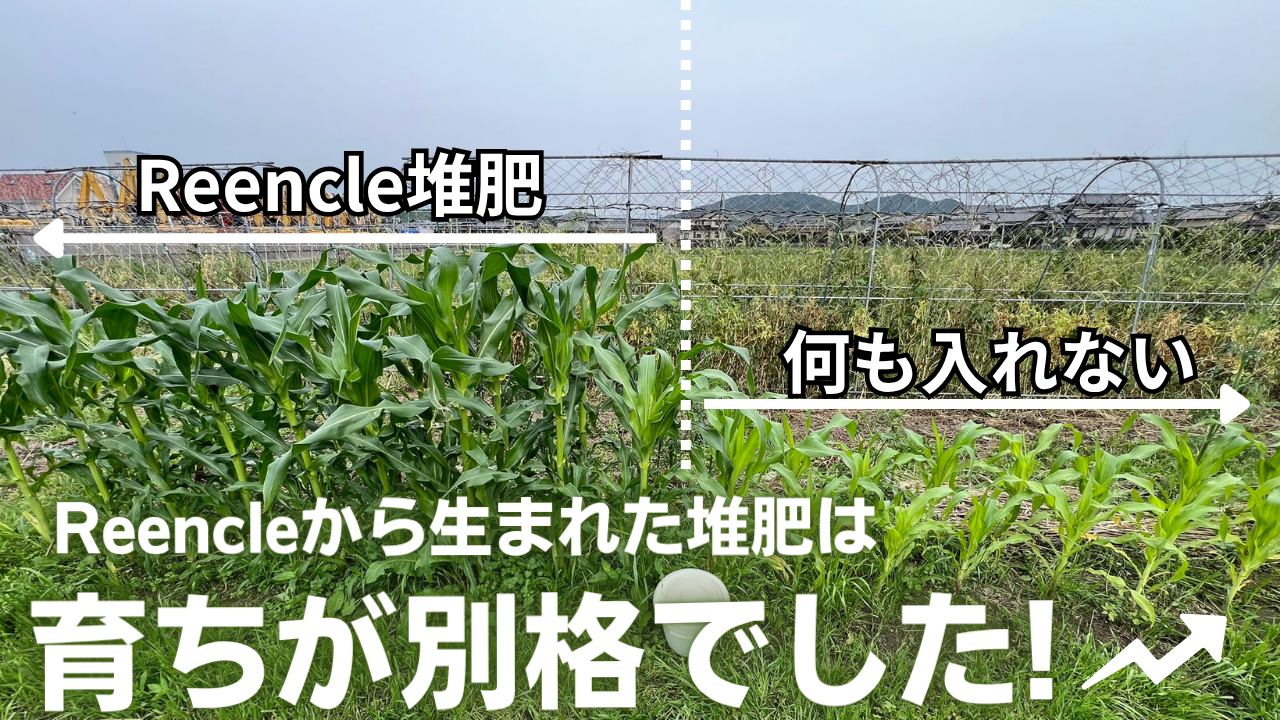 【農業のプロが実験】Rreencle堆肥で本当に作物は育つのか？
